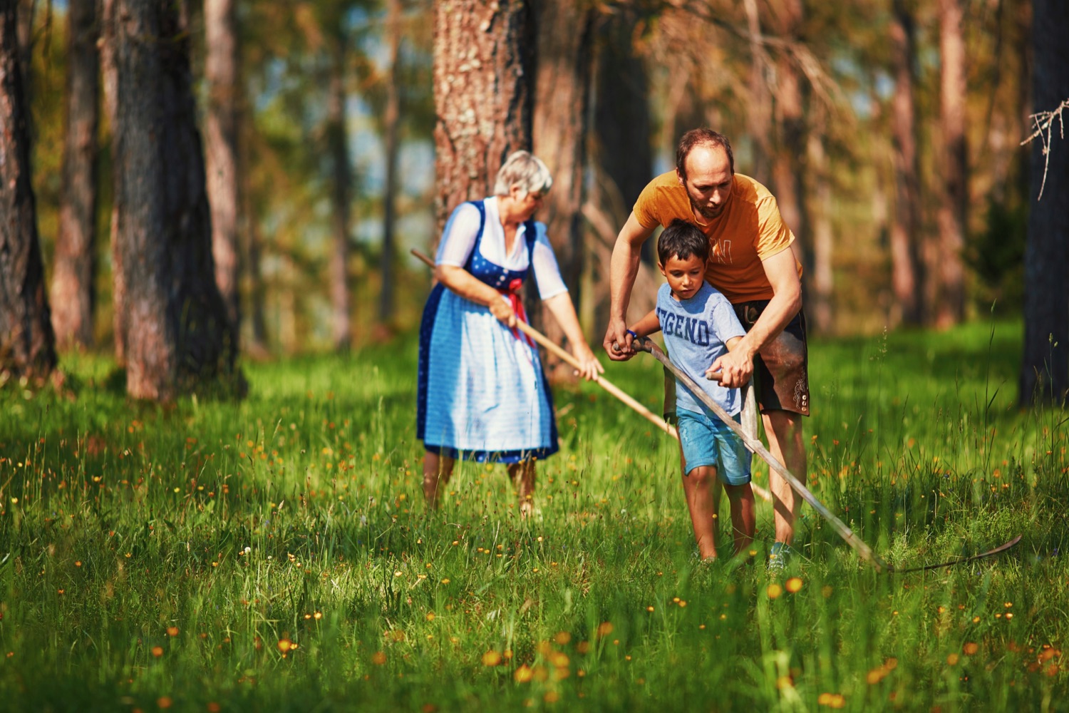 Frühsommer von der schönsten Seite