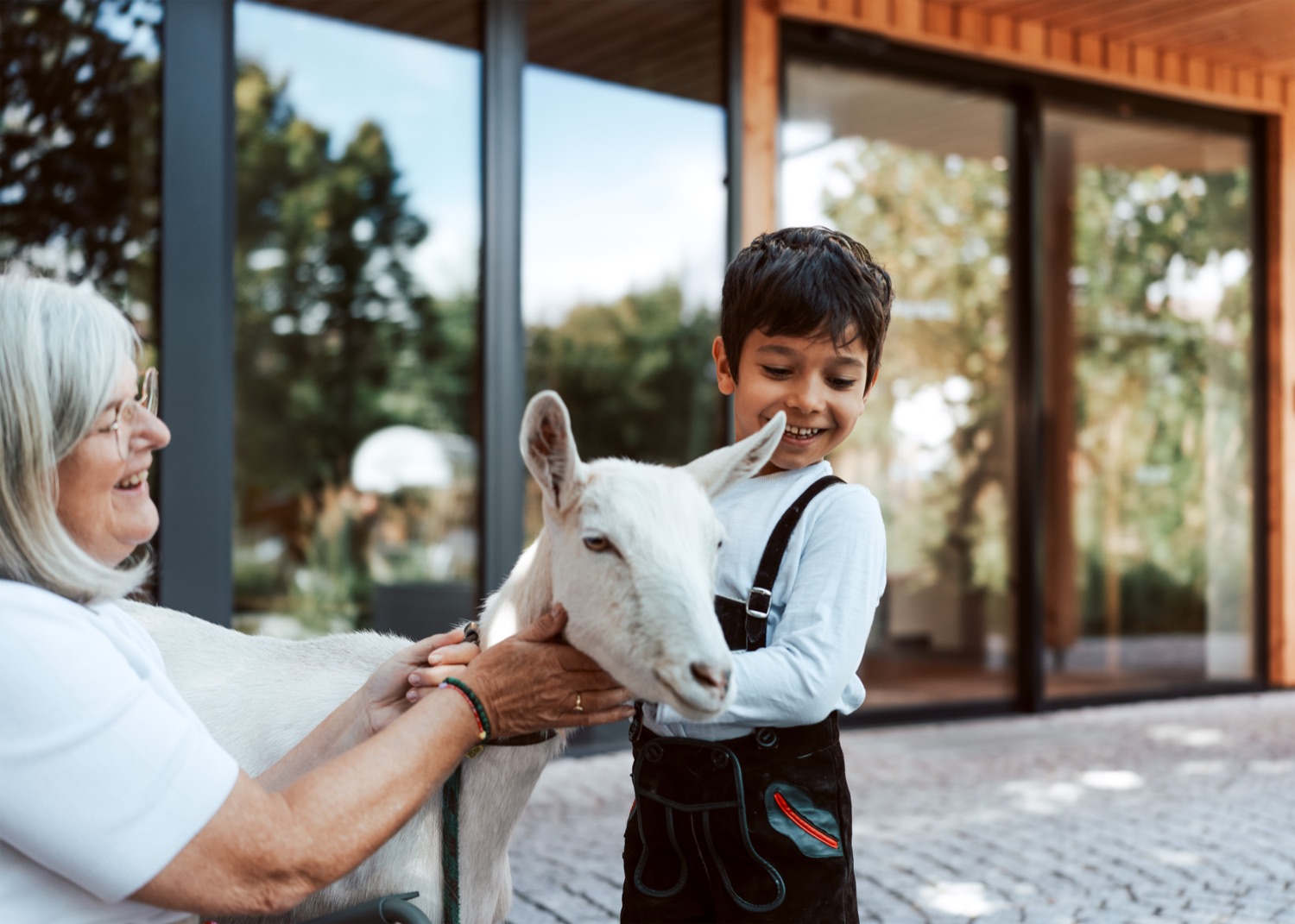Ponys, Ziegen & mehr
