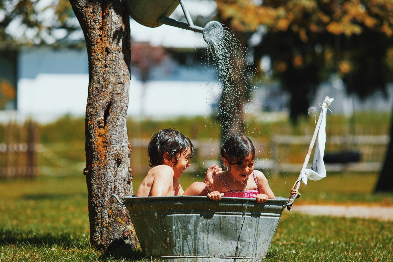 Von der Wiese ins Baumhaus