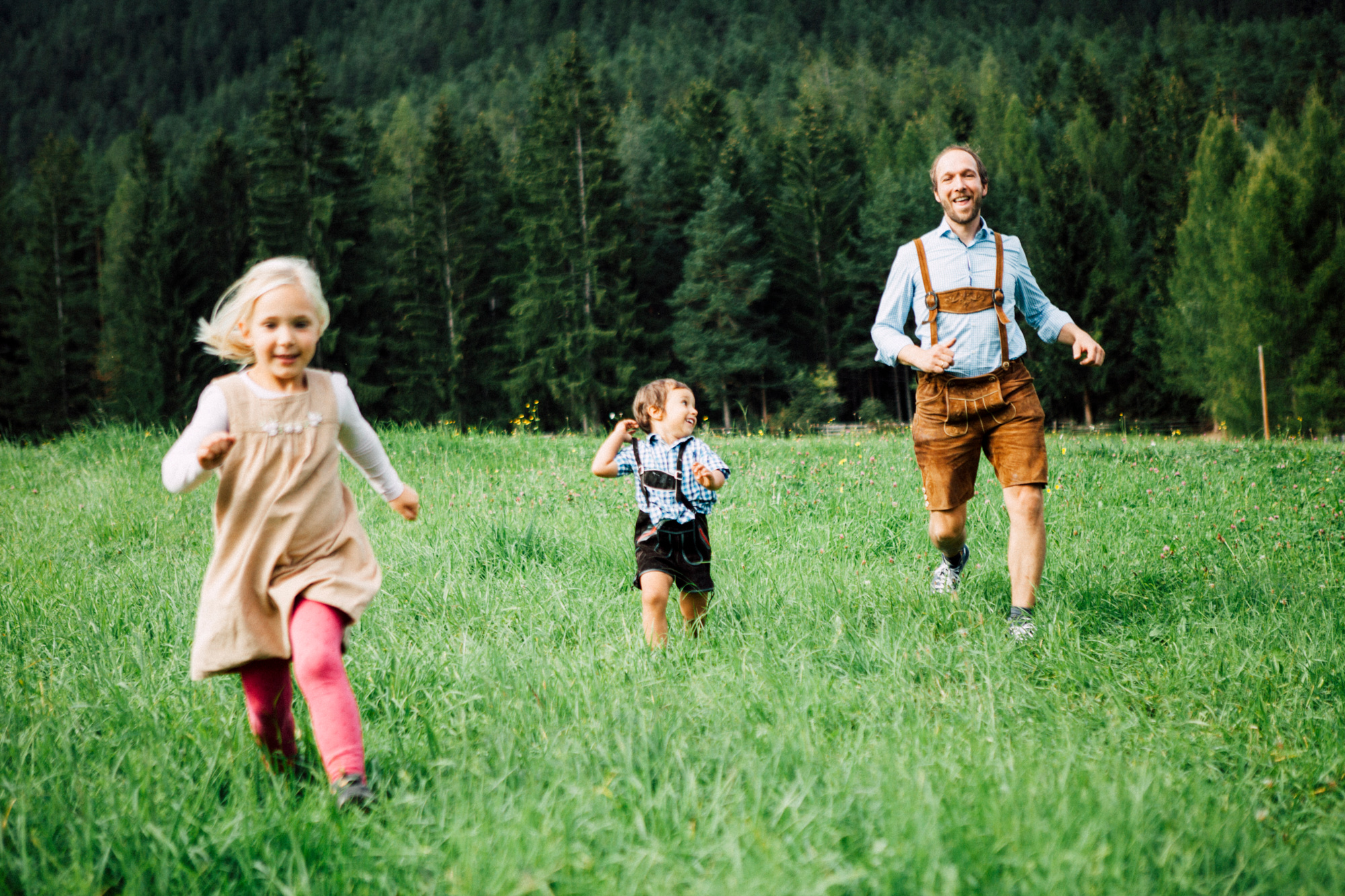 Von der Wiese ins Baumhaus
